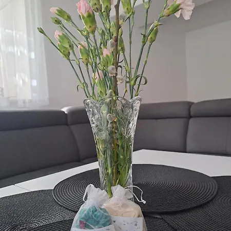 Mieszkanie Z Niezaleznym Wejsciem Apartman